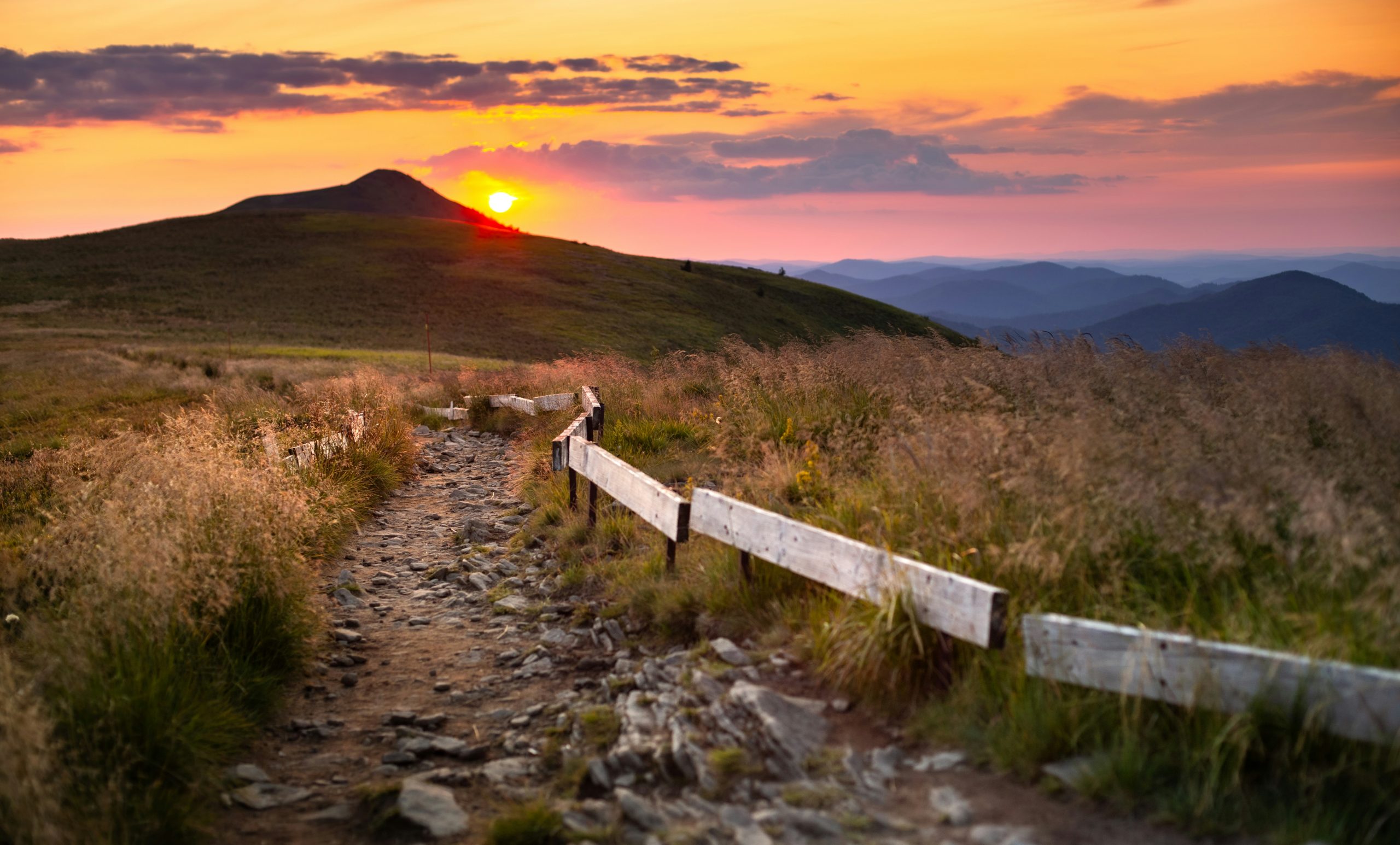 marek piwnicki hcrcjhugw o unsplash